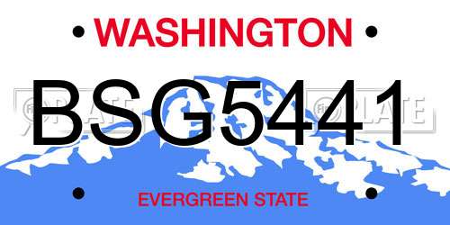 BSG5441 Washington License Plate
