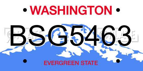 BSG5463 Washington License Plate