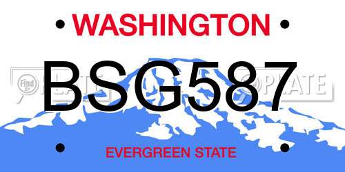 BSG587 Washington License Plate