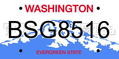 BSG8516 Washington License Plate