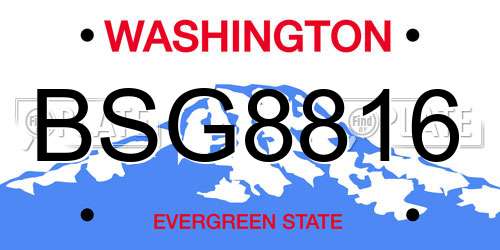 BSG8816 Washington License Plate