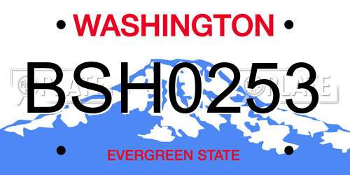BSH0253 Washington License Plate