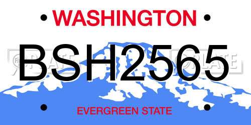 BSH2565 Washington License Plate