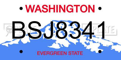 BSJ8341 Washington License Plate
