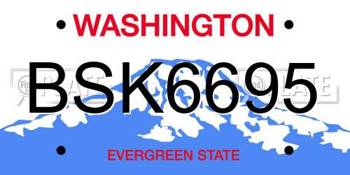 BSK6695 Washington License Plate