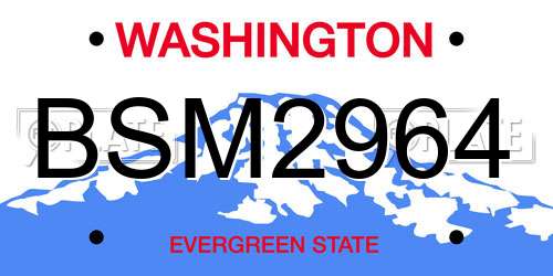 BSM2964 Washington License Plate