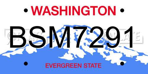 BSM7291 Washington License Plate