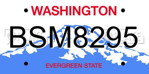 BSM8295 Washington License Plate