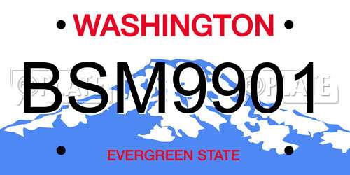 BSM9901 Washington License Plate