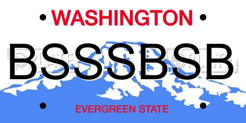 BSSSBSB Washington License Plate