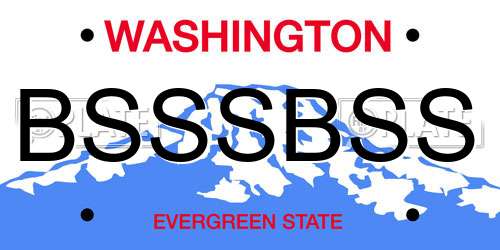 BSSSBSS Washington License Plate