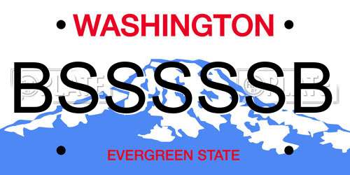 BSSSSSB Washington License Plate