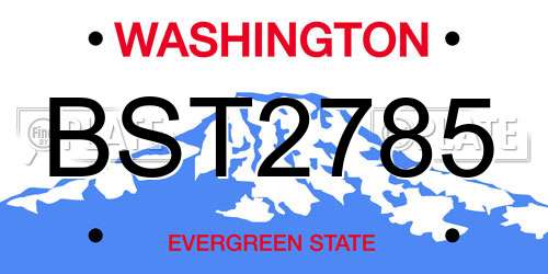 BST2785 Washington License Plate