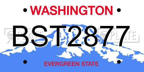 BST2877 Washington License Plate