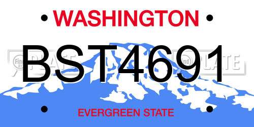 BST4691 Washington License Plate