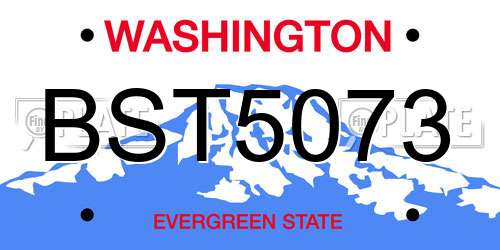 BST5073 Washington License Plate