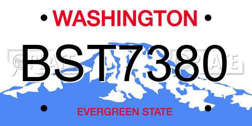BST7380 Washington License Plate