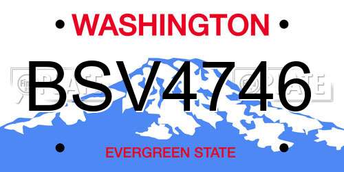 BSV4746 Washington License Plate