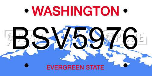 BSV5976 Washington License Plate