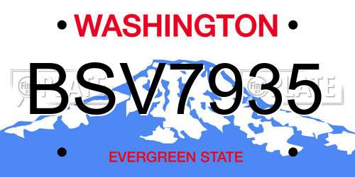 BSV7935 Washington License Plate