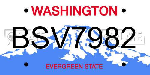 BSV7982 Washington License Plate