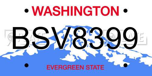 BSV8399 Washington License Plate