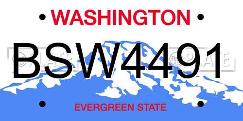 BSW4491 Washington License Plate