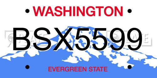 BSX5599 Washington License Plate