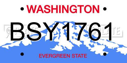 BSY1761 Washington License Plate