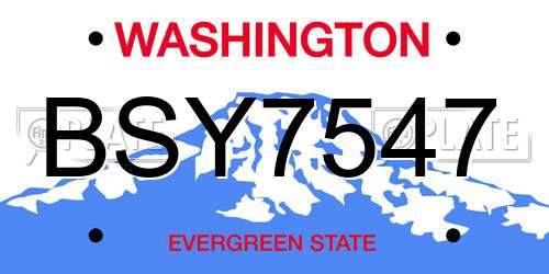 BSY7547 Washington License Plate