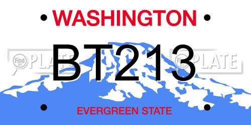 BT213 Washington License Plate