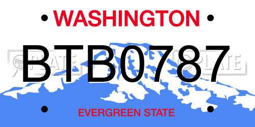 BTB0787 Washington License Plate