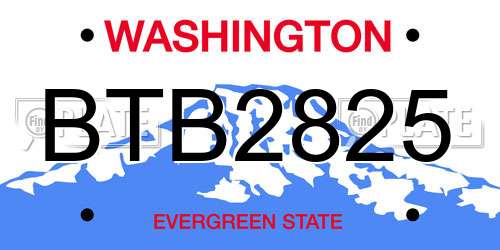 BTB2825 Washington License Plate
