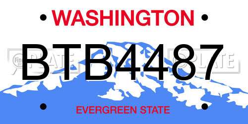 BTB4487 Washington License Plate