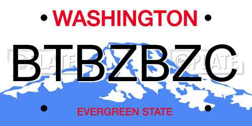 BTBZBZC Washington License Plate