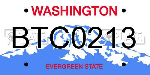 BTC0213 Washington License Plate