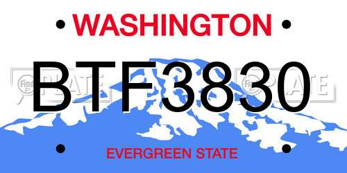 BTF3830 Washington License Plate