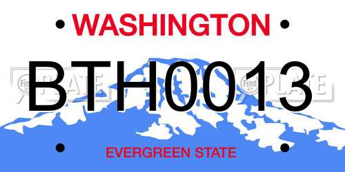 BTH0013 Washington License Plate