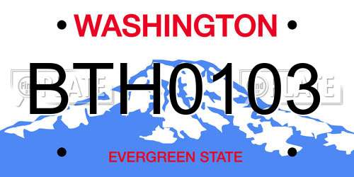 BTH0103 Washington License Plate