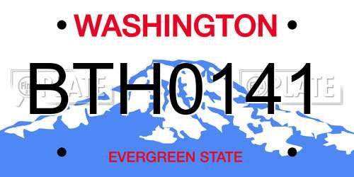 BTH0141 Washington License Plate