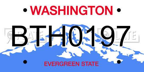 BTH0197 Washington License Plate