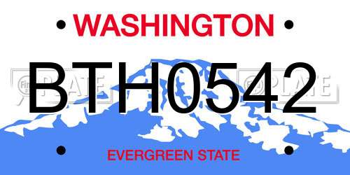 BTH0542 Washington License Plate
