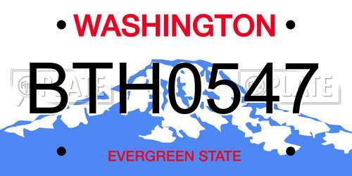 BTH0547 Washington License Plate