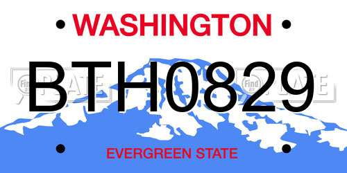 BTH0829 Washington License Plate