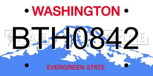 BTH0842 Washington License Plate