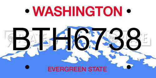 BTH6738 Washington License Plate