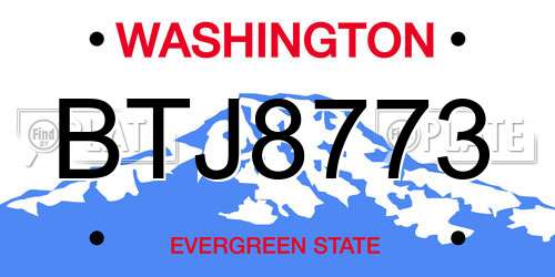 BTJ8773 Washington License Plate