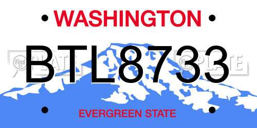 BTL8733 Washington License Plate