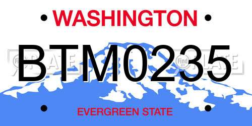 BTM0235 Washington License Plate