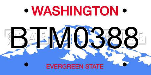BTM0388 Washington License Plate